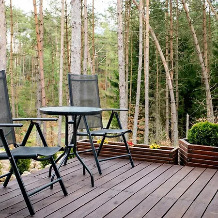 Całoroczny Sówka Na Kaszubach Z Banią I Sauną Na Wyłączność, Wspólny Basen I Bilard Z Domkiem Jeleniówka - Ostrowite Leśna Dolina *