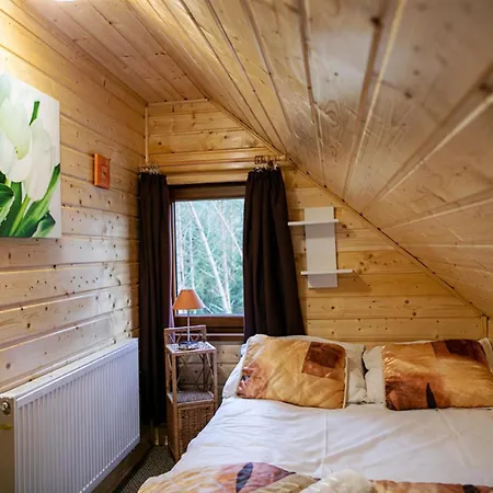 Dom wakacyjny Całoroczny Sówka Na Kaszubach Z Banią I Sauną Na Wyłączność, Wspólny Basen I Bilard Z Domkiem Jeleniówka - Ostrowite Leśna Dolina *