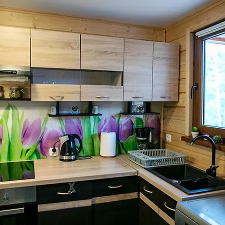 Całoroczny Sówka Na Kaszubach Z Banią I Sauną Na Wyłączność, Wspólny Basen I Bilard Z Domkiem Jeleniówka - Ostrowite Leśna Dolina *