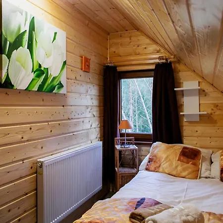 Dom wakacyjny Całoroczny Sówka Na Kaszubach Z Banią I Sauną Na Wyłączność, Wspólny Basen I Bilard Z Domkiem Jeleniówka - Ostrowite Leśna Dolina *