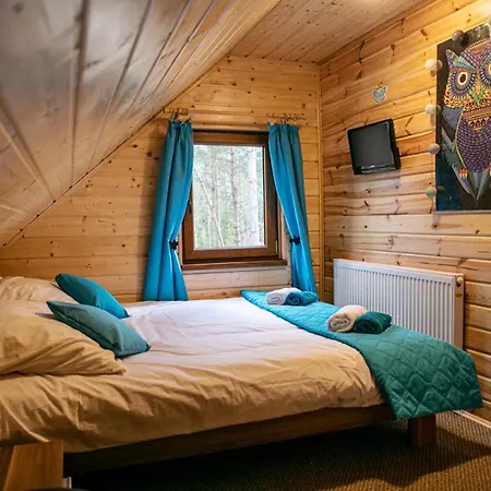 Dom wakacyjny Całoroczny Sówka Na Kaszubach Z Banią I Sauną Na Wyłączność, Wspólny Basen I Bilard Z Domkiem Jeleniówka - Ostrowite Leśna Dolina