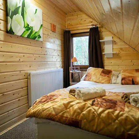 Caloroczny Sowka Na Kaszubach Z Bania I Sauna Na Wylacznosc, Wspolny Basen I Bilard Z Domkiem Jeleniowka - Ostrowite Lesna Dolina 펜션