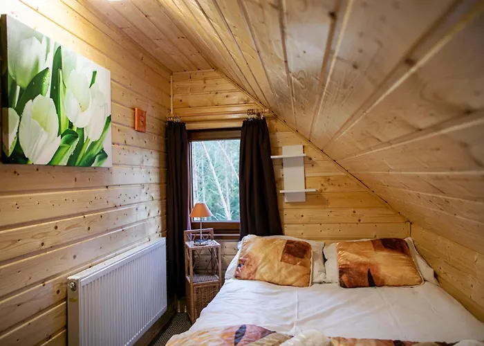 Prázdninový dům Caloroczny Sowka Na Kaszubach Z Bania I Sauna Na Wylacznosc, Wspolny Basen I Bilard Z Domkiem Jeleniowka - Ostrowite Lesna Dolina *