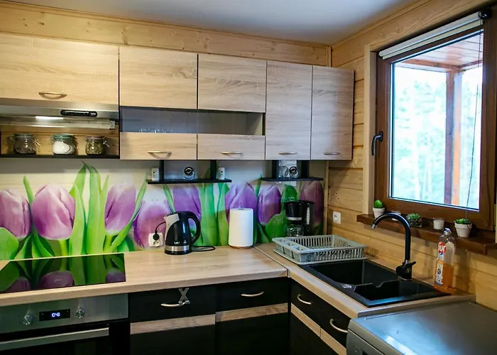 Caloroczny Sowka Na Kaszubach Z Bania I Sauna Na Wylacznosc, Wspolny Basen I Bilard Z Domkiem Jeleniowka - Ostrowite Lesna Dolina *