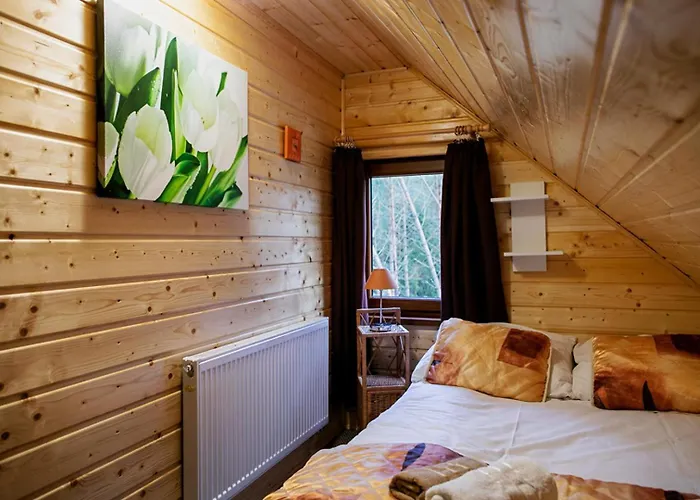 Prázdninový dům Caloroczny Sowka Na Kaszubach Z Bania I Sauna Na Wylacznosc, Wspolny Basen I Bilard Z Domkiem Jeleniowka - Ostrowite Lesna Dolina *