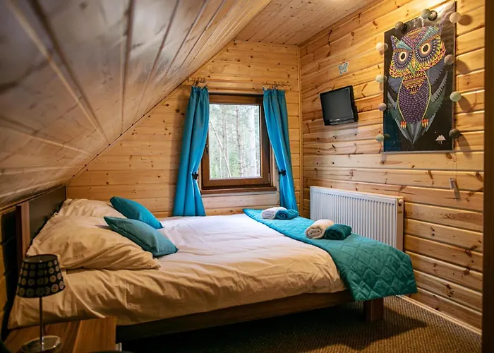 Prázdninový dům Caloroczny Sowka Na Kaszubach Z Bania I Sauna Na Wylacznosc, Wspolny Basen I Bilard Z Domkiem Jeleniowka - Ostrowite Lesna Dolina