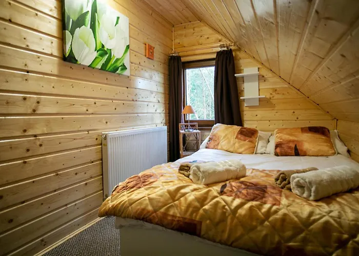 Caloroczny Sowka Na Kaszubach Z Bania I Sauna Na Wylacznosc, Wspolny Basen I Bilard Z Domkiem Jeleniowka - Ostrowite Lesna Dolina Prázdninový dům